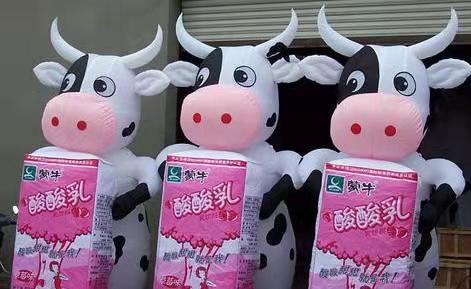 滁州牛奶厂广告气模